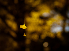 バレものあり2025