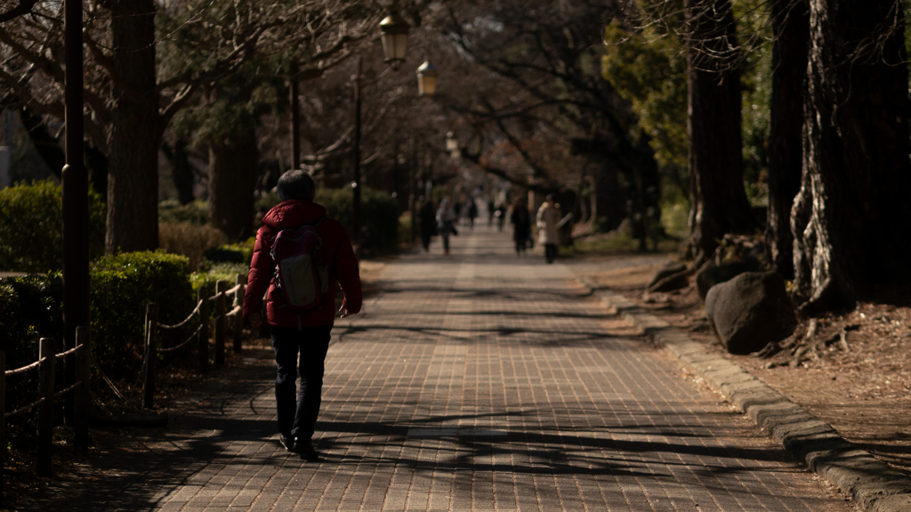 通学時間のあとの歩道