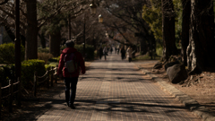 通学時間のあとの歩道