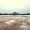 この木なんの木、すぐ溶ける雪と木