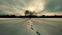 雪の足あと