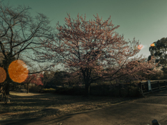 平日の夕方だから