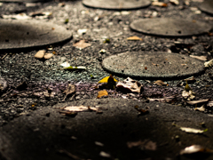 クリアイエロー