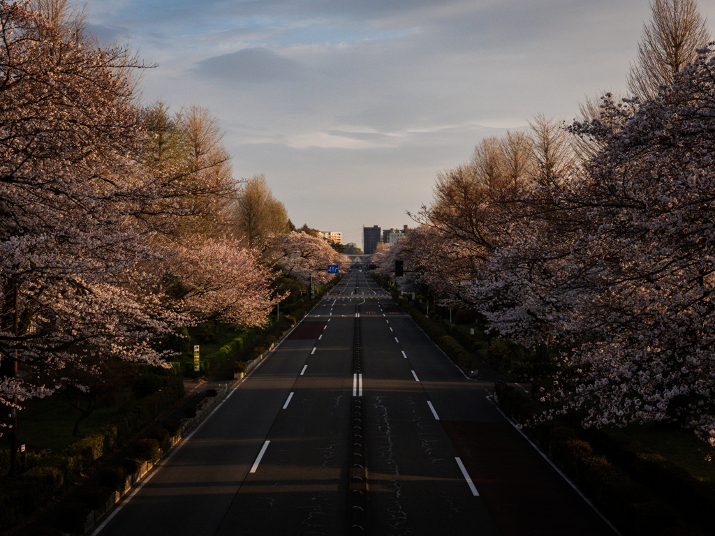 春の日2025