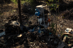 変化だけが不変だと、今年読んだ本にもあった