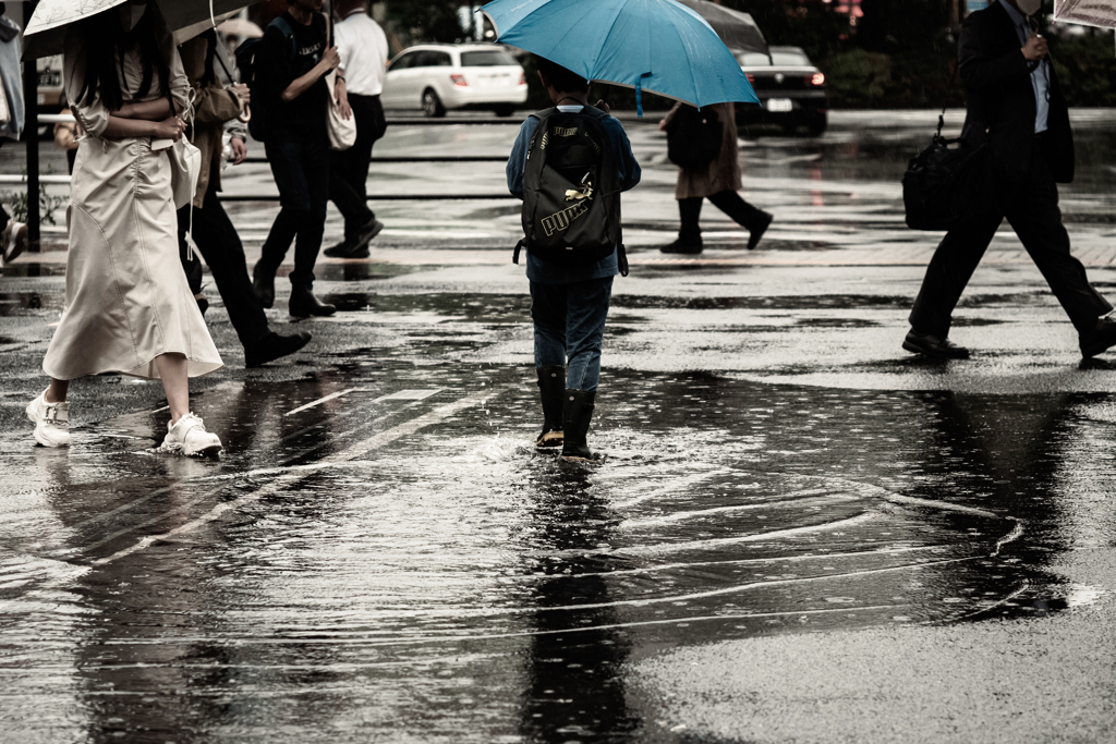 雨の醍醐味