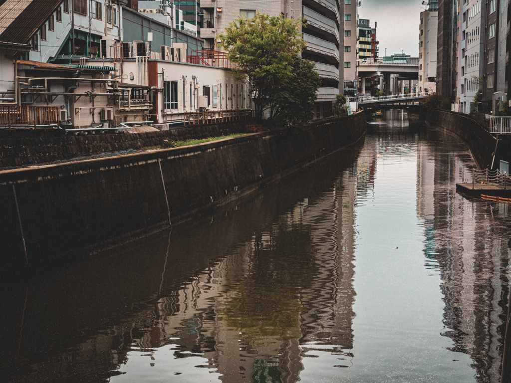 水道橋から