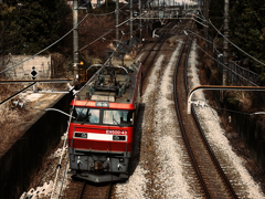 意外と小振りなやつが来た