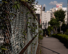 駅までの坂