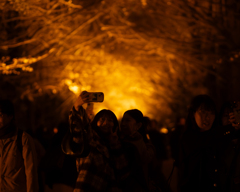 AIが育つまで2025 Ⅱ