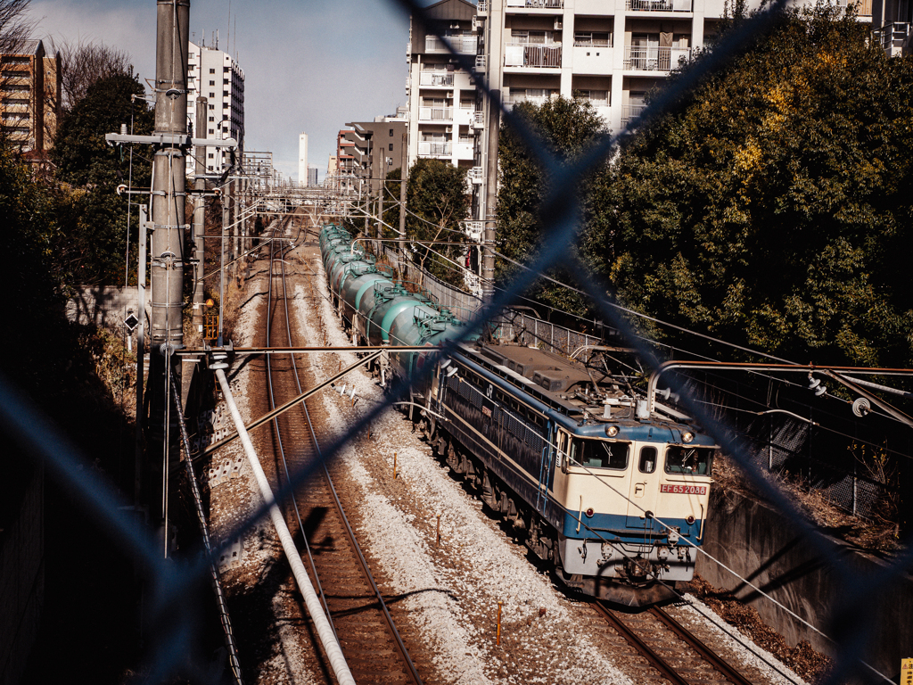 しかたないのでいっしょに撮ろう