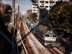 しかたないのでいっしょに撮ろう