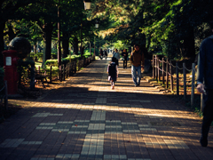 リトルダーティハリー