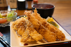 サーモン海老フライ定食
