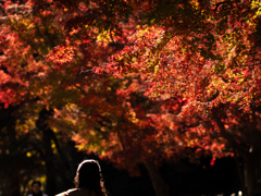 急いでいるけど立ち止まろう