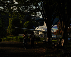 飛行機がいる夕刻