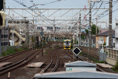 総武線を走る新宿さざなみ