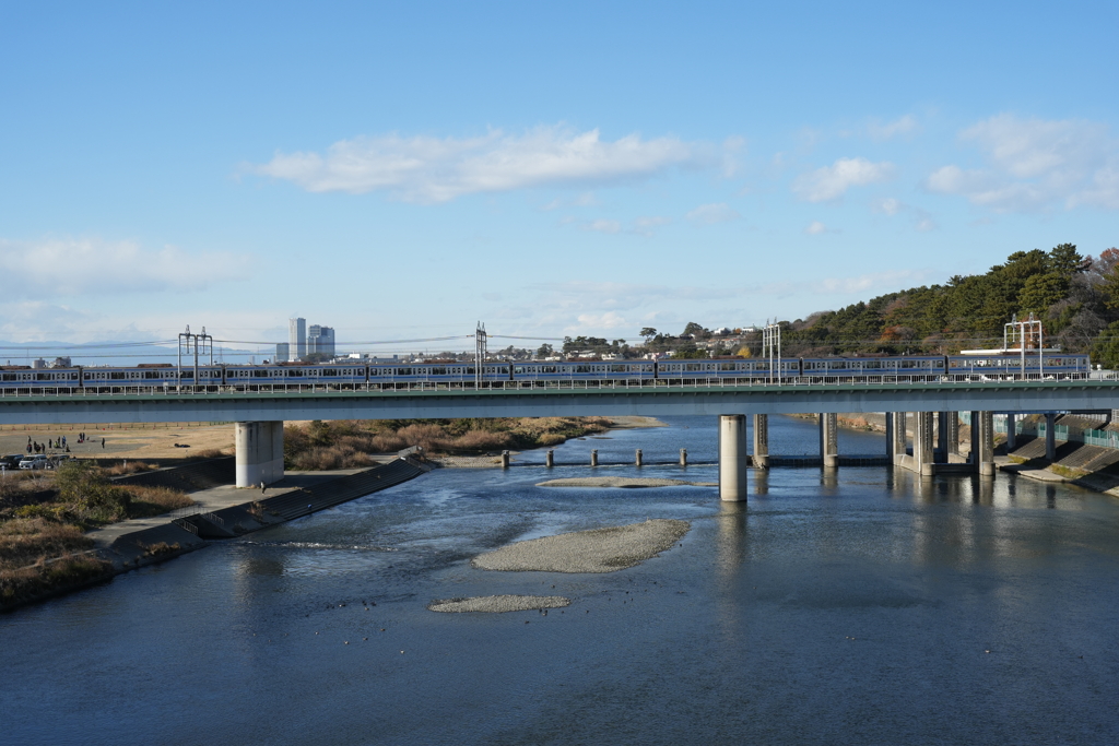 冬の多摩川