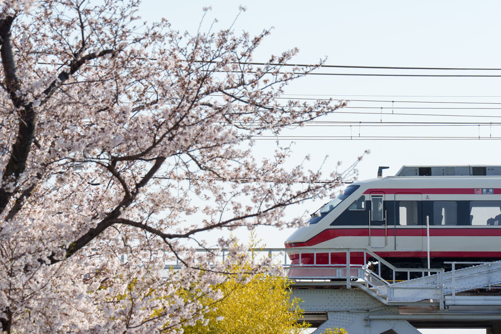 桜と東武特急