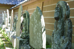 6月の円覚寺