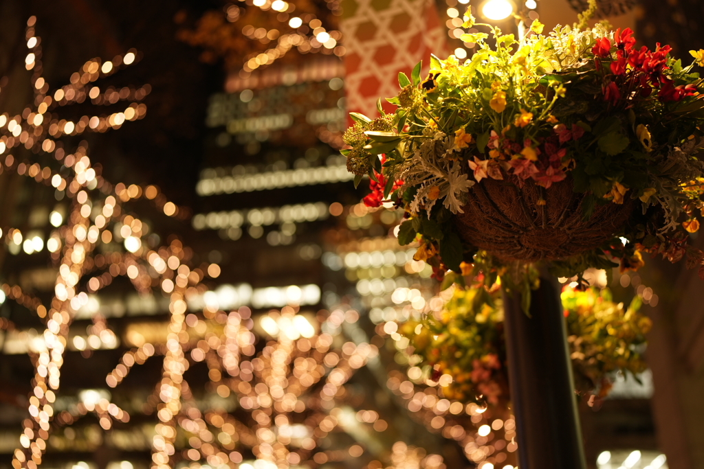 丸の内イルミネーション