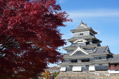 秋の松本城