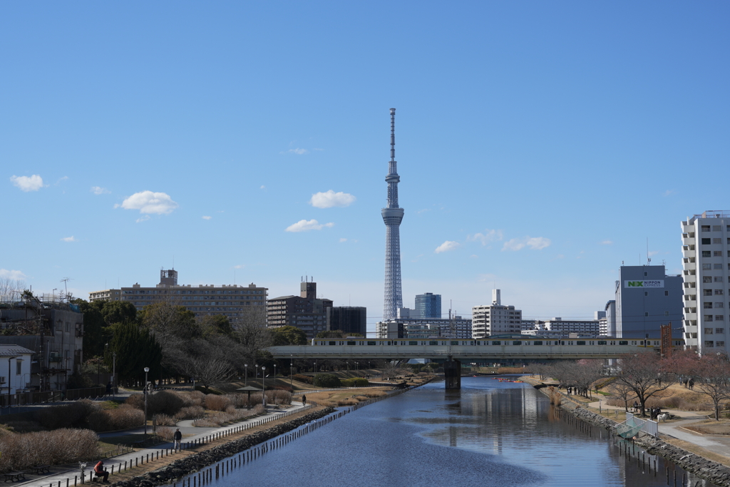 スカイツリーと総武線