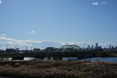 冬の荒川