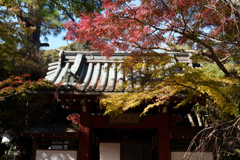 秋の本土寺