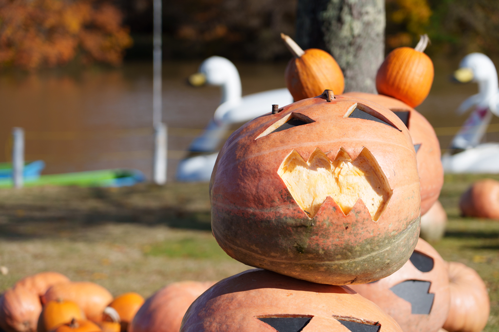 秋の大沼国定公園