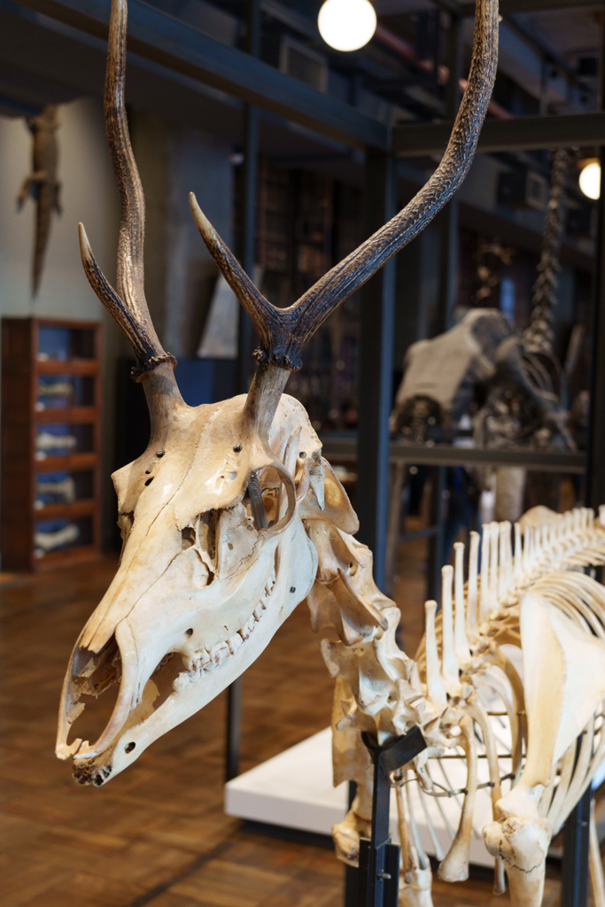 丸の内の博物館