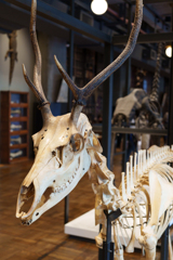 丸の内の博物館