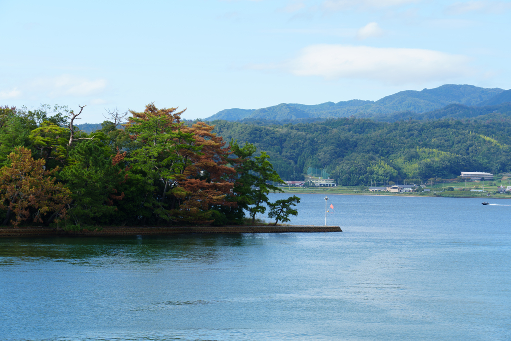 天橋立