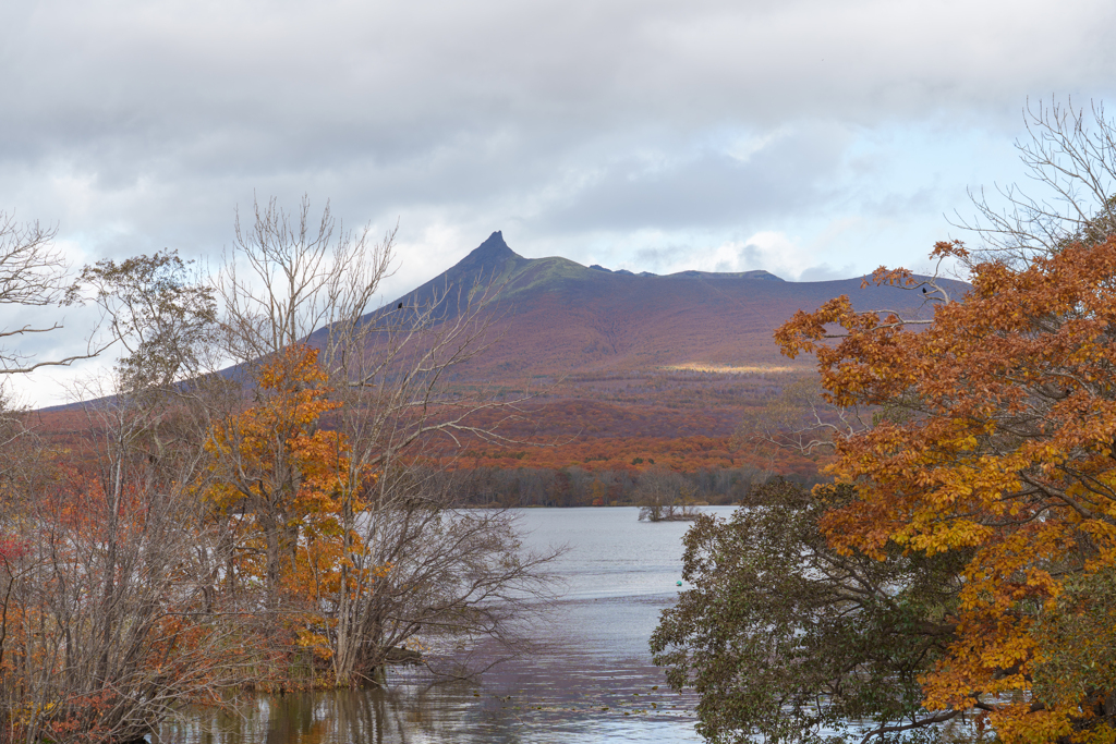 秋の大沼国定公園