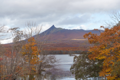 秋の大沼国定公園