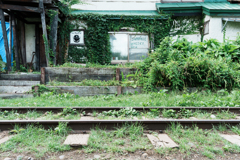 夏の手宮線廃線の路