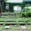 夏の手宮線廃線の路
