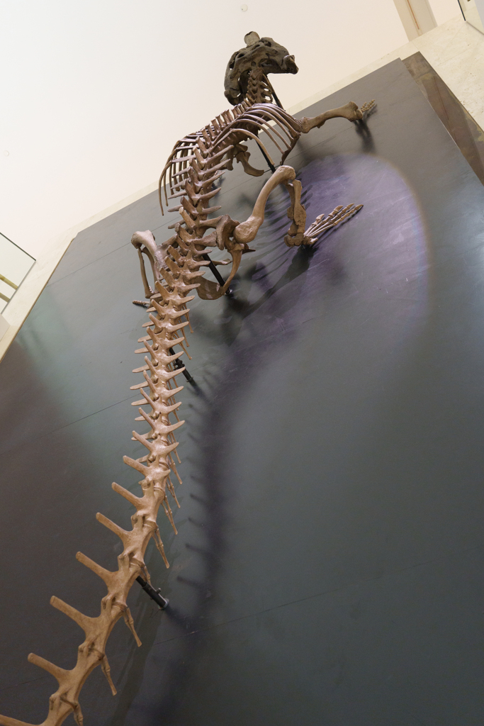 丸の内の博物館