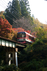 秋の叡山電車