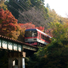 秋の叡山電車