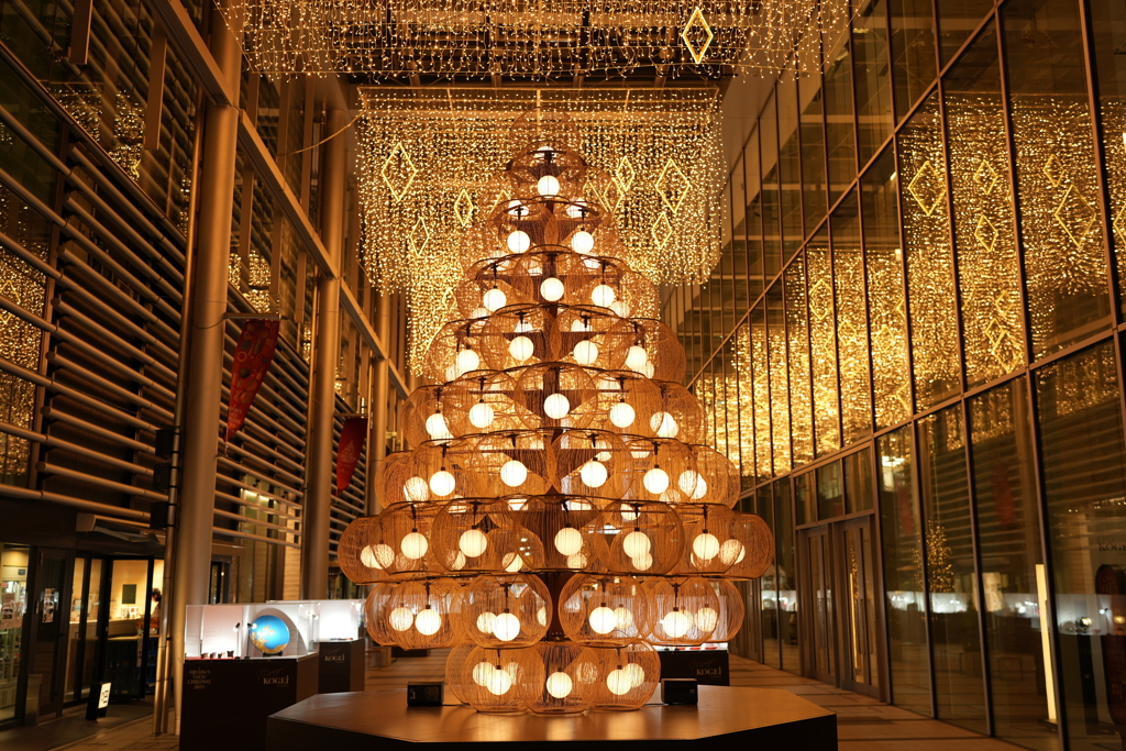 八重洲のクリスマスツリー
