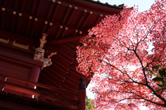 秋の本土寺
