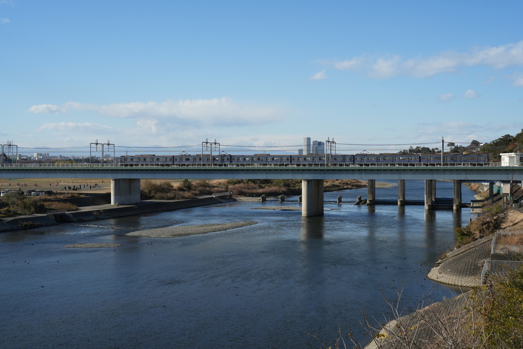 冬の多摩川