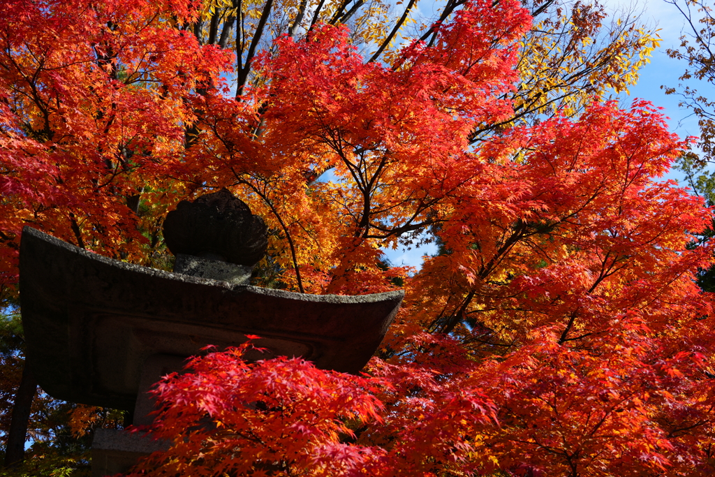秋の四柱神社