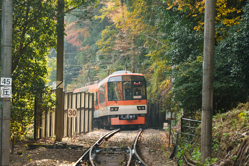秋の叡山電車