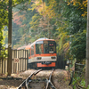 秋の叡山電車