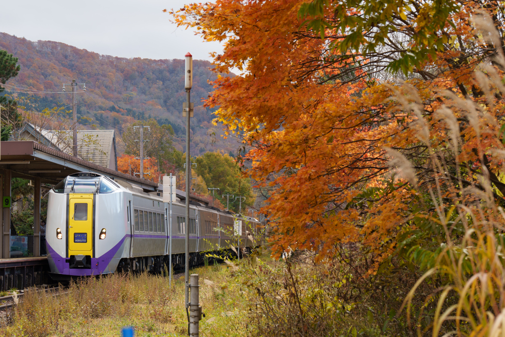 秋の函館本線