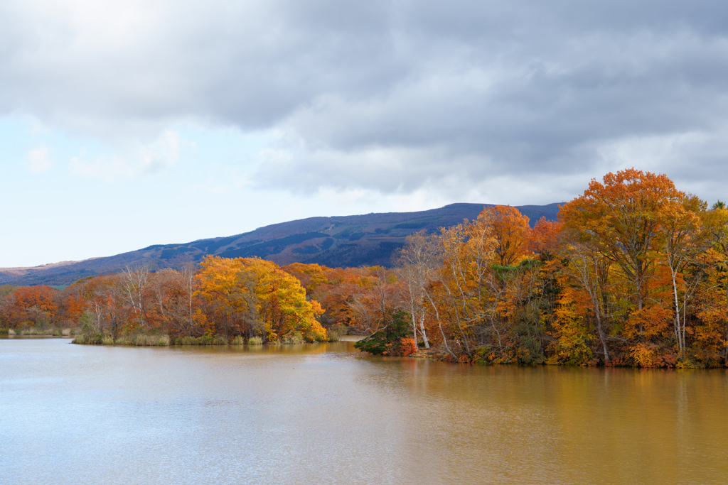 秋の大沼国定公園