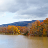 秋の大沼国定公園