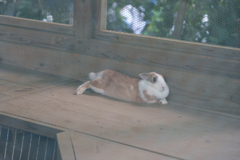 明月院にて